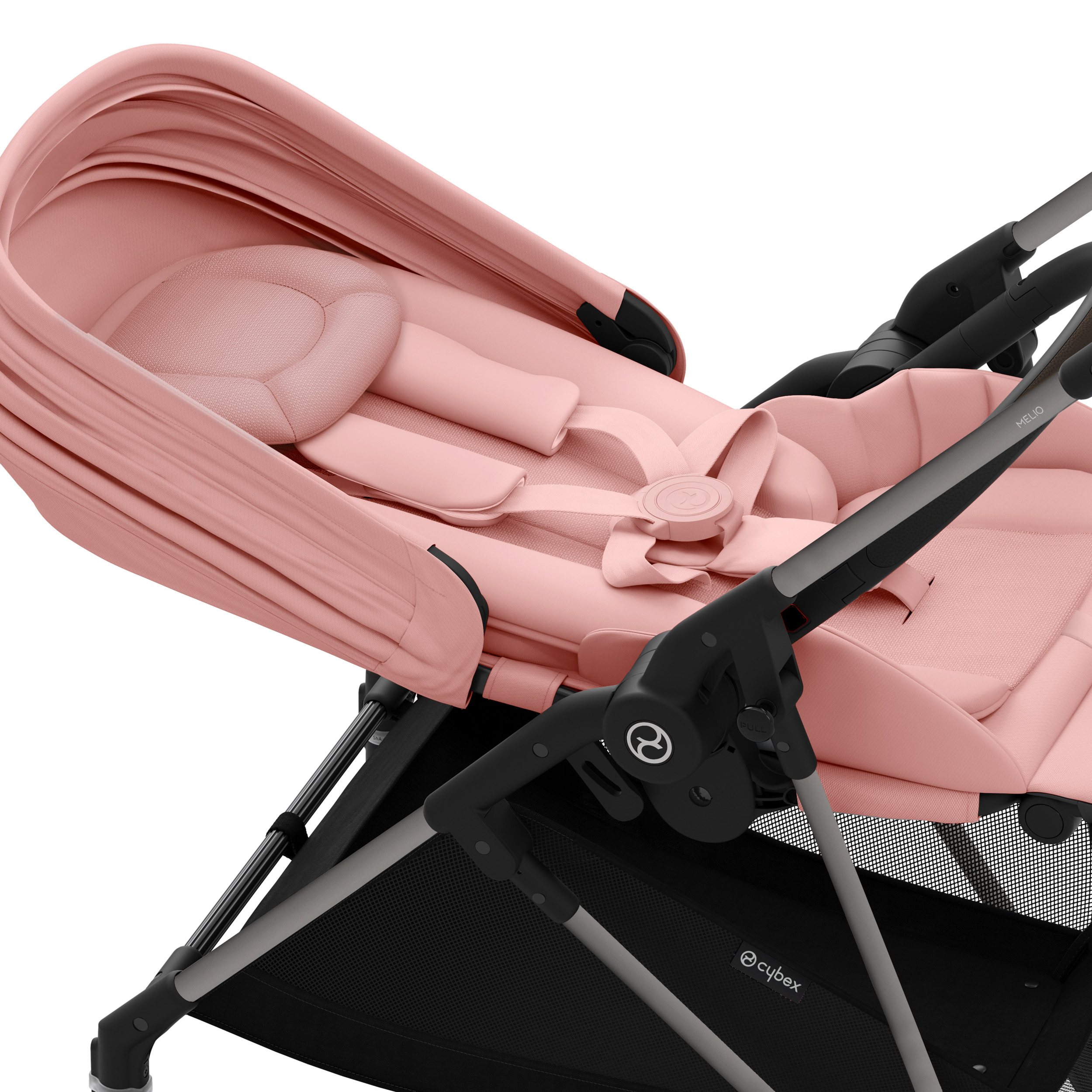 CYB_24_INT_Deta_Beezy_Libelle_BLK_ALBE_OnePullHarness_print_medium.jpg
