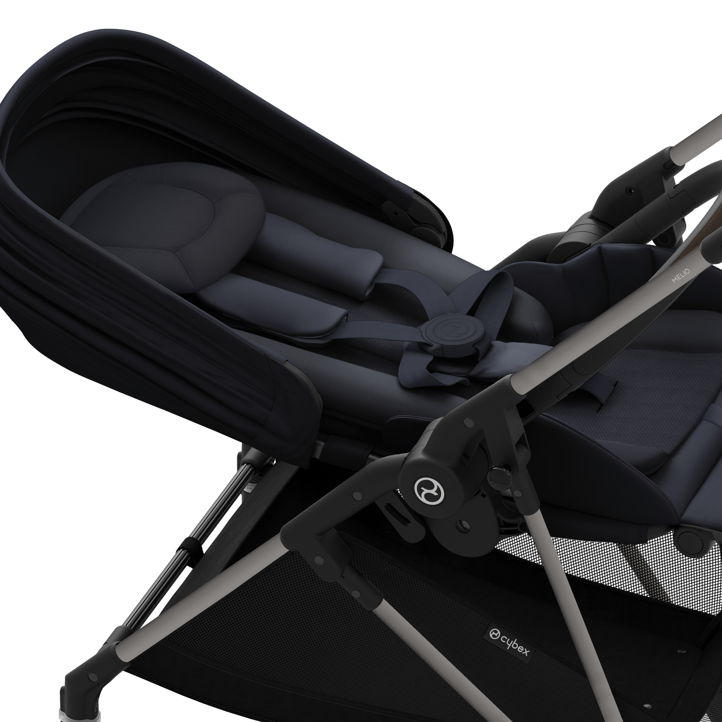 CYB_24_INT_Deta_Beezy_Libelle_BLK_ALBE_OnePullHarness_print_medium.jpg