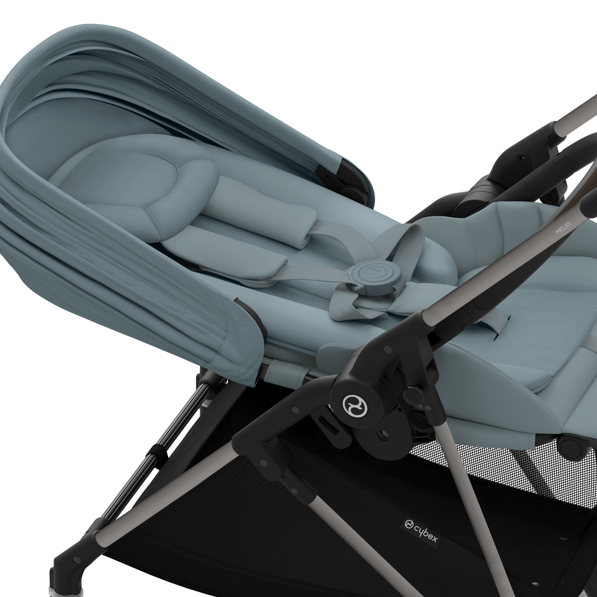 CYB_24_INT_Deta_Beezy_Libelle_BLK_ALBE_OnePullHarness_print_medium.jpg