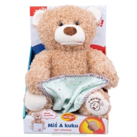 DUMEL MIŚ A KUKU
