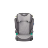 GRACO AFFIX R129 IRON