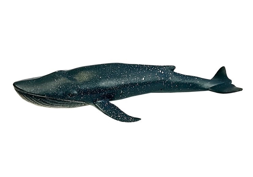 Zestaw Edukacyjny Zwierząt Morskich Figurki Delfin