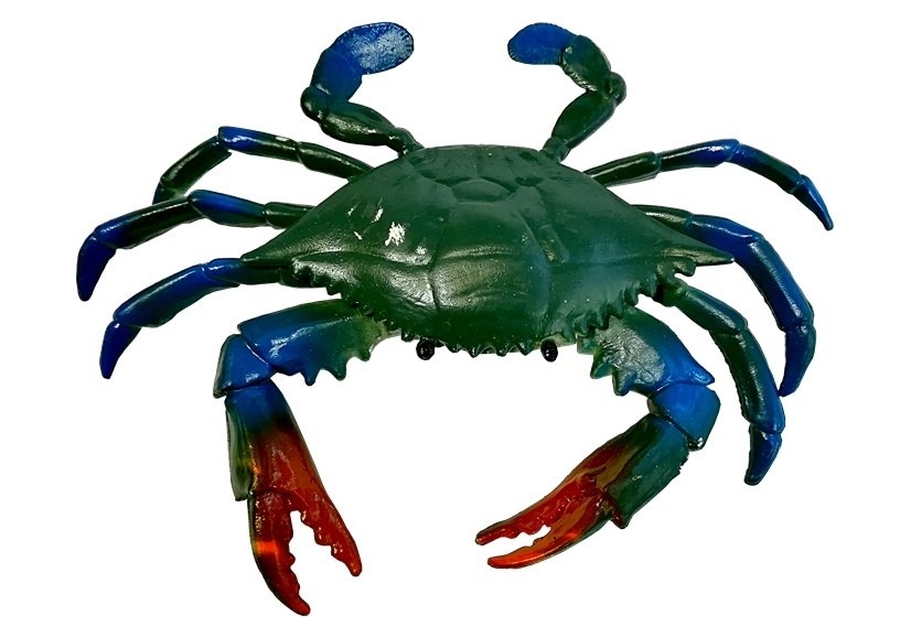 Zestaw Edukacyjny Zwierząt Morskich Figurki Delfin