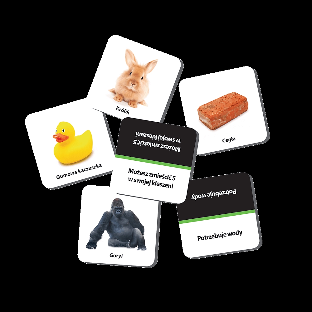 Gra Trefl - Pikti 02079