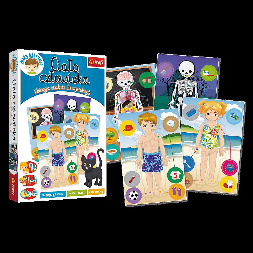 Ciało człowieka 01738