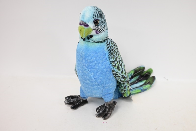 Papużka niebieska VIC 04294 42943