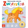 Kolorowanka malucha Zwierzęta 36814