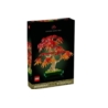 LEGO BOTANICALS Klon palmowy bonsai 10348