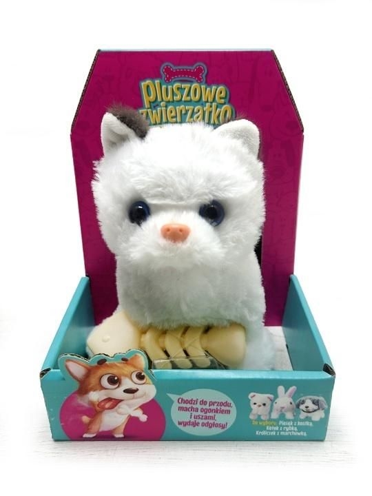 Kotek chodzący z rybką