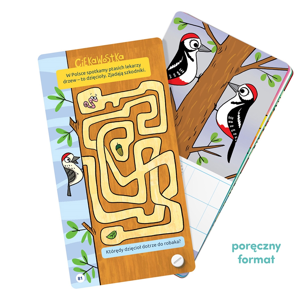 CZUCZU FANTASTYCZNE GRY LOGICZNE 3+