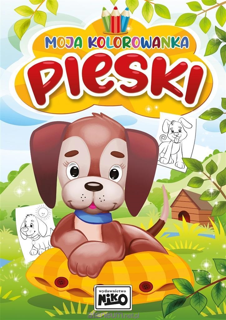 MOJA KOLOROWNKA-PIESKI