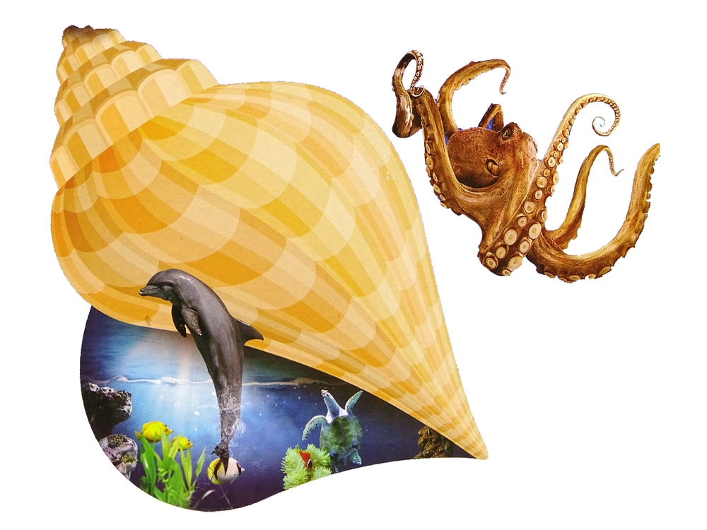 Wykluwające się Zwierzęta Morskie Rosnące Magiczne