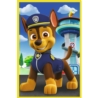 PUZZLE 3x50 Nasze pieski /Psi Patrol 34878