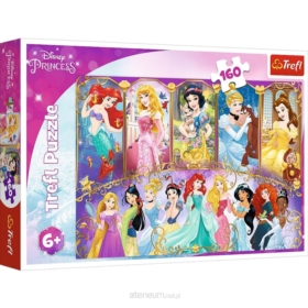 Puzzle - 160 - Portrety Księżniczek - Disney Princ