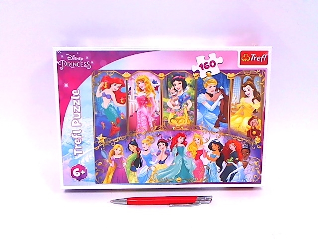 Puzzle - 160 - Portrety Księżniczek - Disney Princ