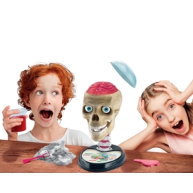 CLEMENTONI ZWARIOWANA ANATOMIA