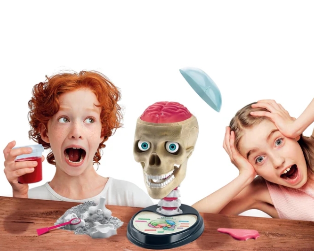 CLEMENTONI ZWARIOWANA ANATOMIA