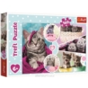 Puzzle 160 el. Urocze kotki 15371
