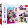Puzzle 160 el. Urocze kotki 15371