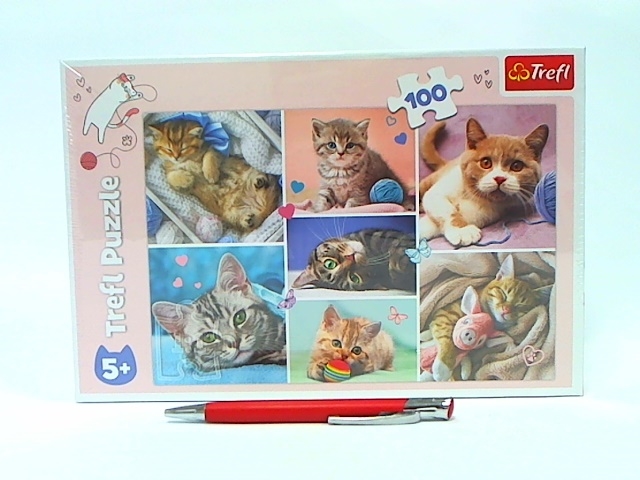 PUZZLE 100 - W KOCIM ŚWIECIE