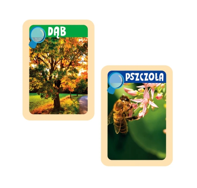 CLEMENTONI NAUKOWA ZABAWA ODKRYWCY NATURY