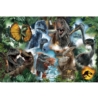 Puzzle - 300 - Ulubione dinozaury - Universal Jura