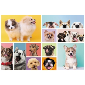 TREFL PUZZLE 160 PSIA PRZYJAŹŃ