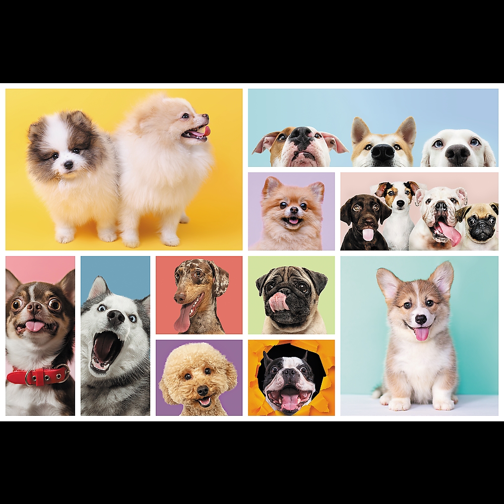 TREFL PUZZLE 160 PSIA PRZYJAŹŃ