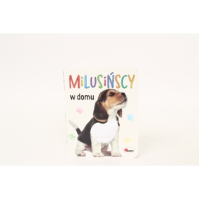 MOREX - MILUSIŃSCY - W DOMU