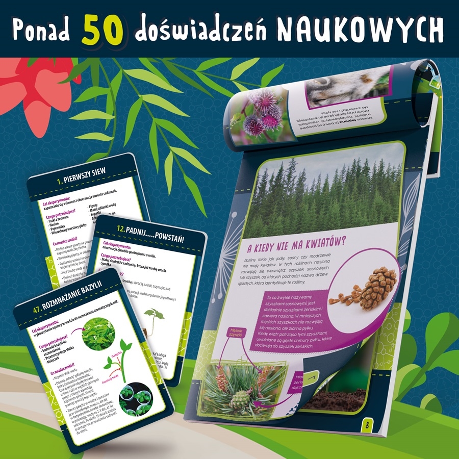 LISCIANI I'M GENIUS NAUKAW DOMU BOTANICA