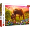 PUZZLE 500 Konie na łące 37451
