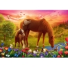 PUZZLE 500 Konie na łące 37451