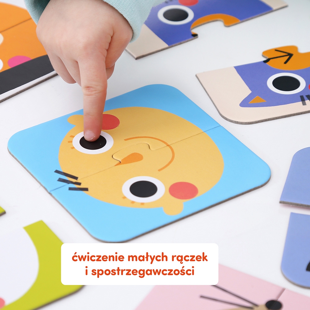 CZUCZU UKŁADAM POŁÓWKI BUZIE