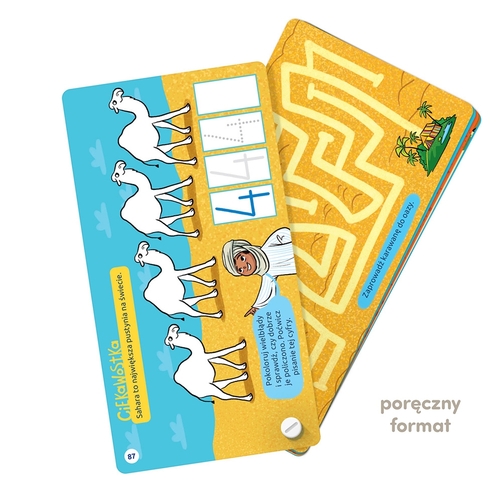 CZUCZU FANTASTYCZNE GRY LOGICZNE 4+