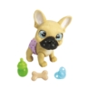 PAMPER PETZ Buldog francuski 595-0098
