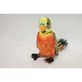 Papużka pomarańczowa VIC 04295 42950