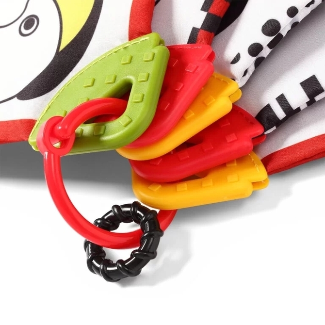 ONO ZAB. 781 KARTY EDUKACYJNE DREAM