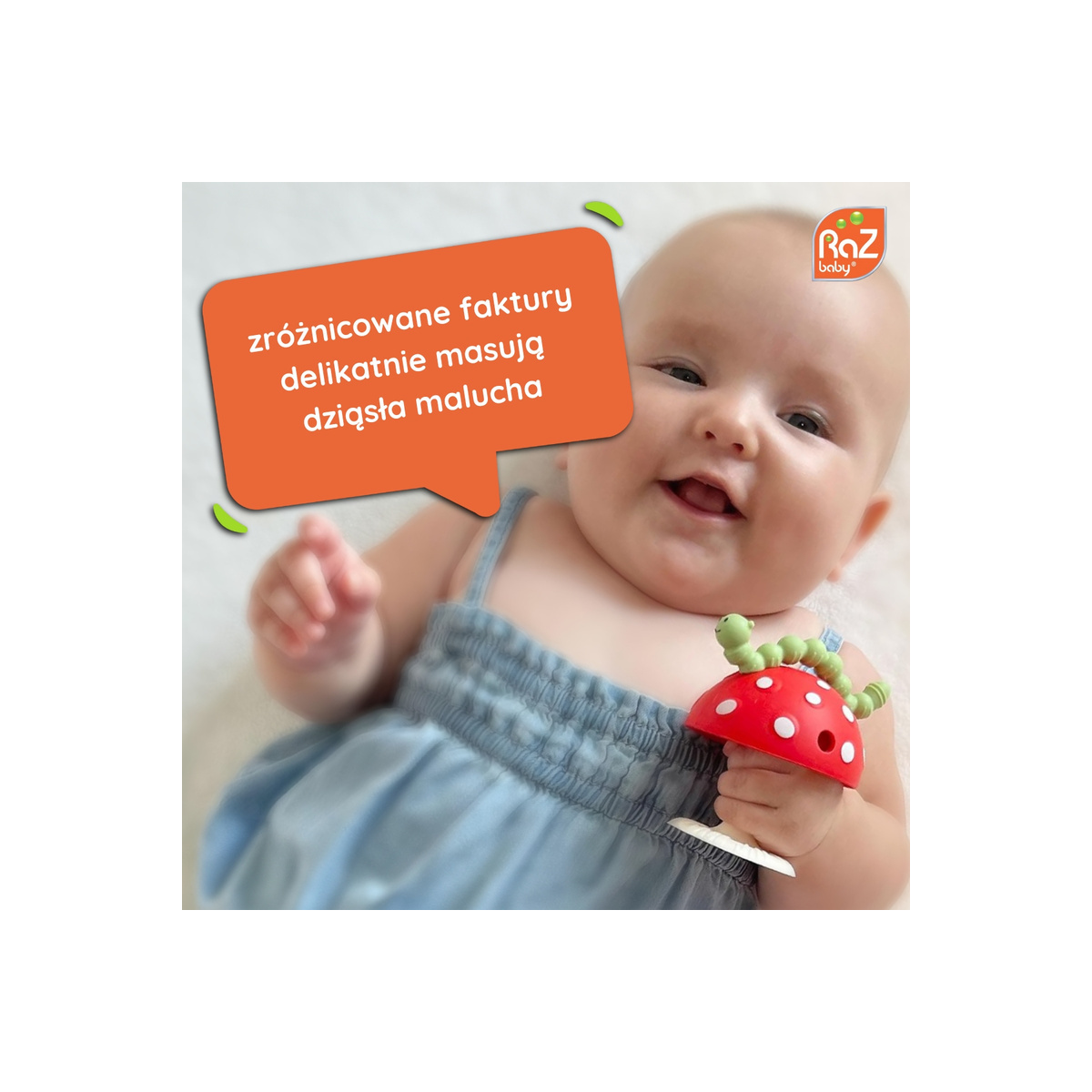 RAZBABY GRYZAK CHOMPY Z PRZYSSAWKĄ NIEBIESKI