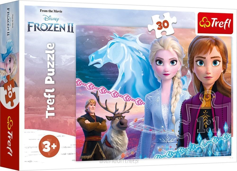 Puzzle - 30 - Odwaga sióstr - Disney Frozen 2 1825