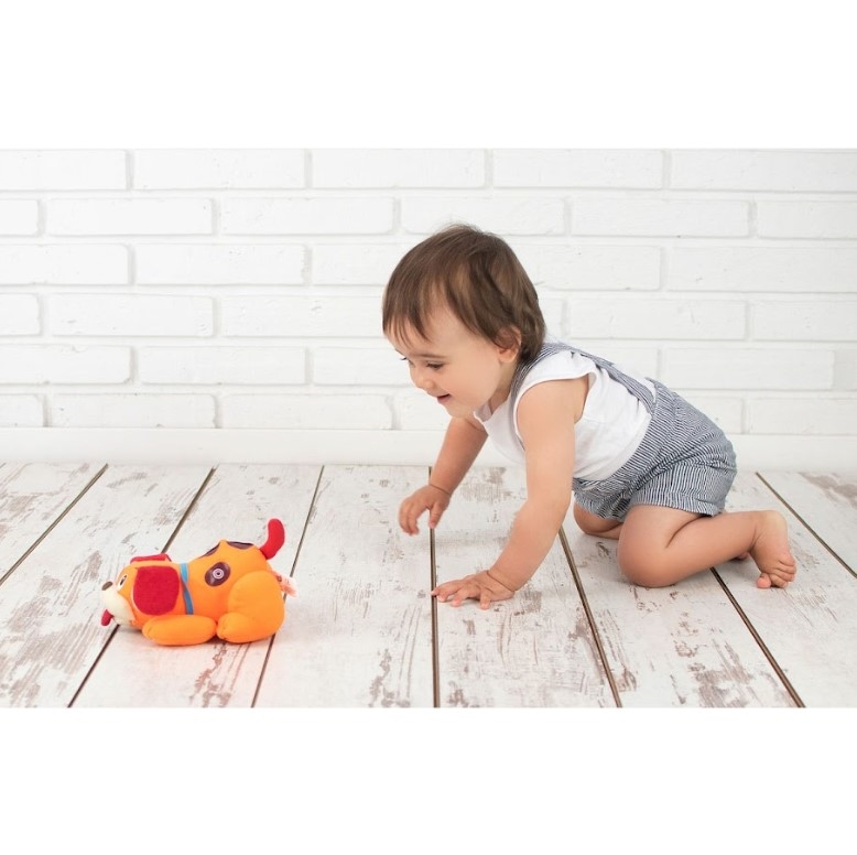 SMILY PIES UCIEKAJĄCY WIBRUJACY