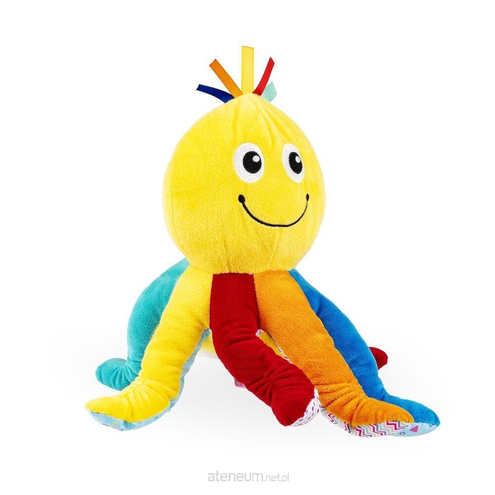 DUMEL WĘDRUJĄCA OŚMIORNICA