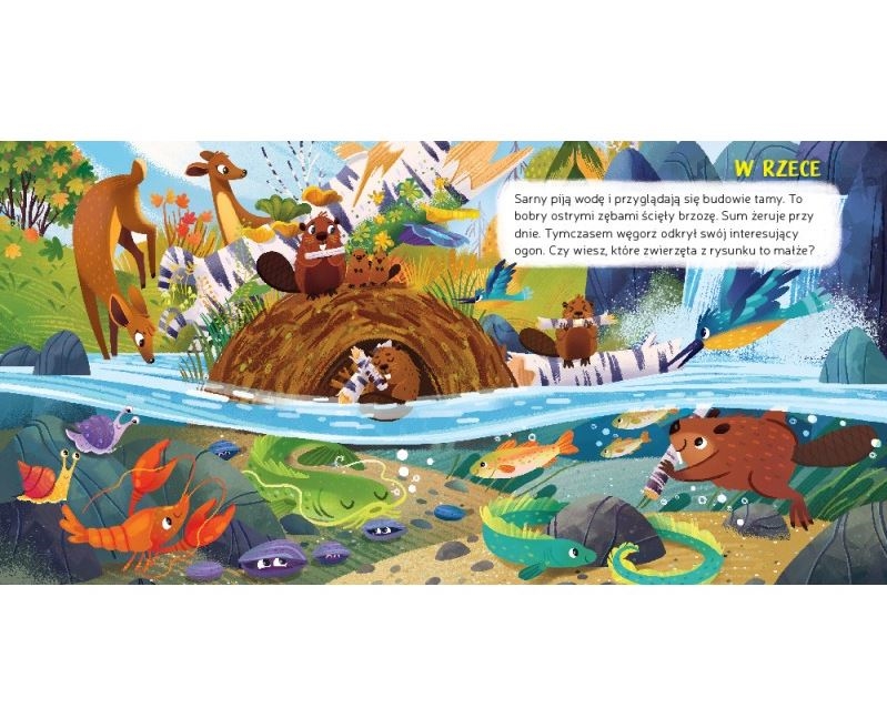 CO ZOBACZĘ POD WODĄ