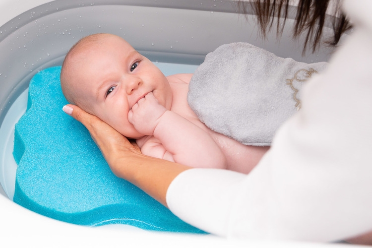 SENSILLO MYJKA FROTTE