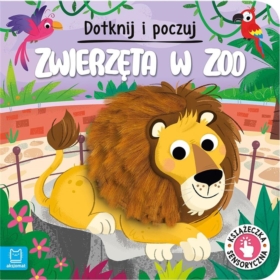 Dotknij i poczuj Zwierzęta w ZOO 38856