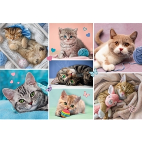 PUZZLE 100 - W KOCIM ŚWIECIE