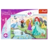 Puzzle - 60 - Poznaj Księżniczki - Disney Princess