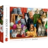 Puzzle 1000 el. Kocie Spotkanie Trefl 10555