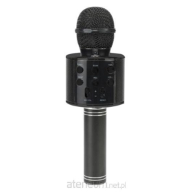 Mikrofon bezprzewodowy JYWK 369-6 13914