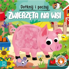 KSIĄŻECZKA NA WSI