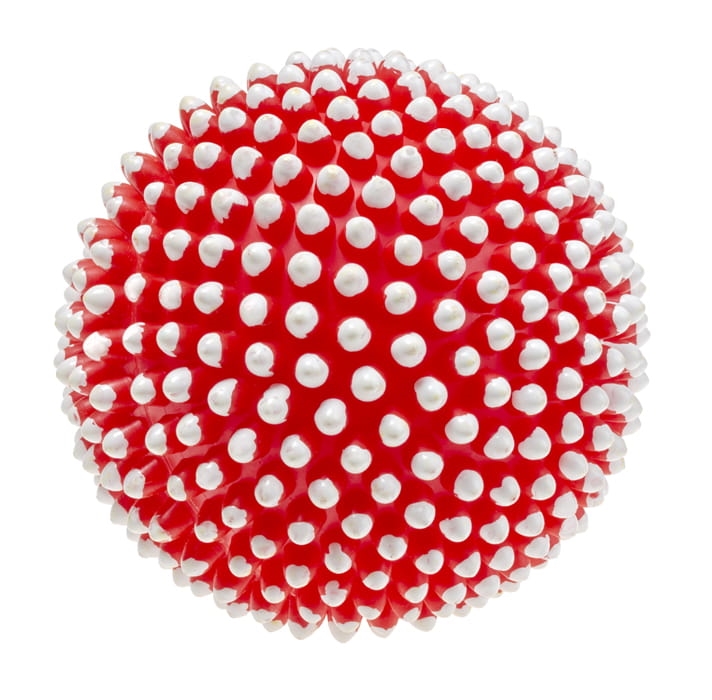 Piłka z kolcami piszcząca 9,5cm 215 72152